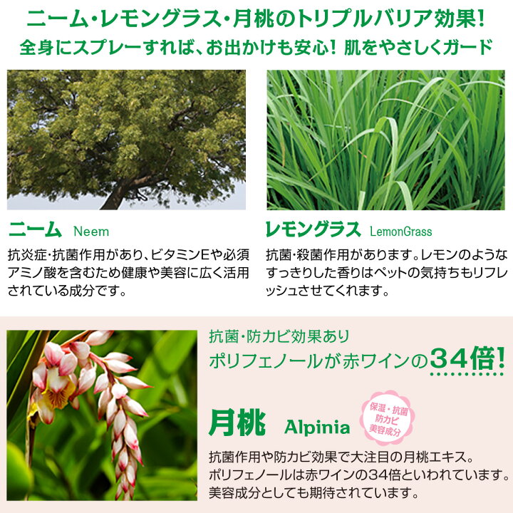 楽天市場】PetChouChou ペットシュシュ 200ml 犬用全身ガードスプレー お散歩 キャンプ 天然成分 リラックス効果 : ドッグパラダイスぷらすニャン 楽天市場】PetChouChou ペットシュシュ 200ml 犬用全身ガードスプレー お散歩 キャンプ 天然成分 リラックス効果 : ドッグパラダイスぷらすニャン