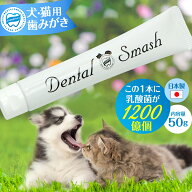 ペット用 歯磨き デンタルスマッシュ トゥースペースト 50g 追跡可能メール便のみ送料無料（同梱不可）オ…