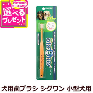 VIVATEC p360°uV VO ^pyZz