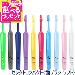 Tepe ey uV ZNgRpNg \tgilpj×1{(uV ͂Ԃ炵  l q ǂ ȗ\h oPA)(yam)yZz