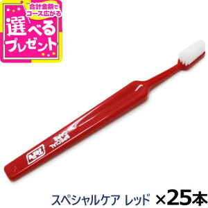 Tepe ey uV XyVPA bh×25{(/)(  nuV f^PA   ybg \h SPECIAL CARE ܂Ƃߔ)(yam)yZz