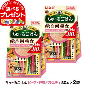 いなば ちゅーるごはん 犬用 ビーフ・野菜バラエティ 総合栄養食 14g×80本 (紙袋容器入り)×2袋 大容量 チュール ドッグ ドック ちゅ～る いぬ ペットフード INABA ワンちゅーる いなばペットフード