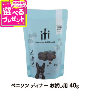 iti(CeB) xj\ fBi[ 40g p GAhC  sgp hbOt[h yDz