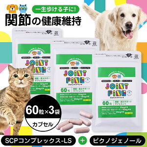  L ֐ Tvg WCgt@C{ivXj 60 sNmWFm[ ǐՉ\[ւ̂ݑisjTv 畆 ybgp