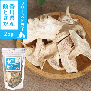  L Y Y D 񂱂ȃt[YhC 쌧Y{Ƃ 25g  qA_  gbsO Tv h{⏕ Ƃ `L hbO hbN Lbg ybgyZz