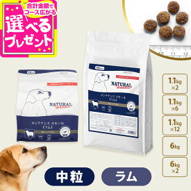 【順次パッケージ変更】ナチュラルハーベスト メンテナンススモール ラム ドッグフード 低脂肪 低カロリー 成犬 シニア犬 食物アレルギー ドライ 小粒 中粒 ドックフード 【D】