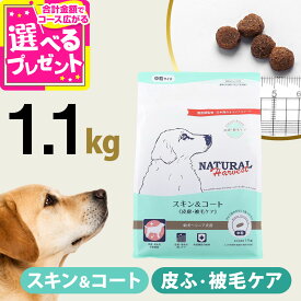 【順次パッケージ変更】ナチュラルハーベスト スキン＆コート皮膚・被毛ケア 1.1kg 皮膚 被毛 スキン 毛艶 幼犬 成犬 シニア犬 ドッグフード 犬 ドック ドックフード【D】