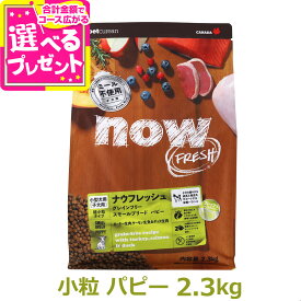 ナウ フレッシュ グレインフリー スモールブリードパピー 2.3kg ドッグフード 超小粒 犬 ドライフード 子犬 穀物不使用 小粒 七面鳥【D】