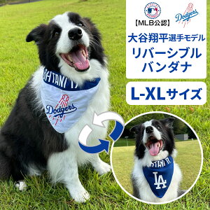 MLB T[X hW[X JĕI胂f jtH[ o[Vuo_i L-XL ǐՉ\[֑Ήisj  hbN ybg 싅 LAD hR Los Angeles Dodgers
