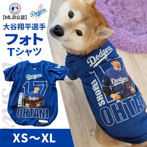 MLB T[X hW[X JĕI胂f jtH[ ĕI胂f tHg TVc XS`XLTCY  hbN hbOEFA ybg 싅 LAD hR Los Angeles Dodgers