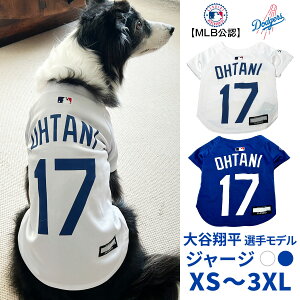 MLB公式 ロサンゼルス ドジャース 大谷翔平選手モデル ユニフォーム ジャージ XS〜3XLサイズ 【XS/S/S-Mサイズは追跡可能メール便のみ送料無料(時間指定・同梱不可)】 犬 ドック ドッグウェ