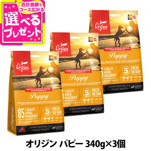 �y�}���\�����Ԍ���!�v�G���g���[�ł����P5�{�z�I���W�� �p�s�[ 340g �h�b�O�t�[�h �� ORIJEN �h�b�N �h���C �q���yD�z