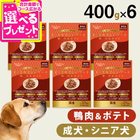 【9/15 要エントリー最大100％ポイントバック】【2026年9月1日価格改定】ペッツルート もっとやさしいフード 鴨肉＆ポテト 400g×6袋 半生 セミモイスト ドッグフード ドックフード シニア 成犬 国産【D】