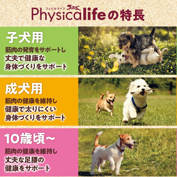 楽天市場 フィジカライフ Physicalife 成犬用 チキン 大豆入り 2kg 送料無料 沖縄を除く ユニチャーム ユニ チャーム 総合栄養食 ドッグパラダイスぷらすニャン