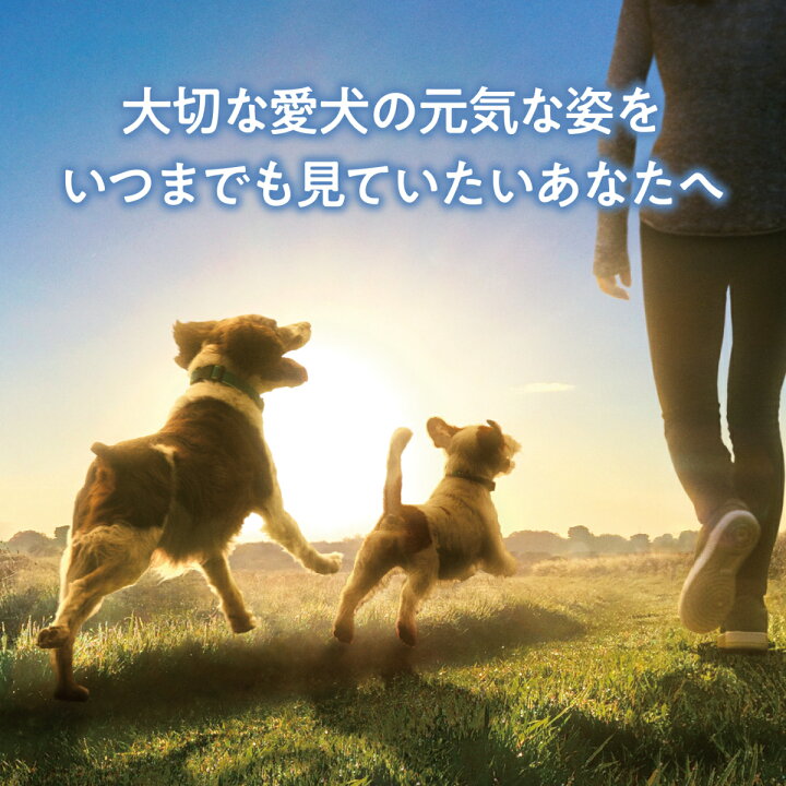 楽天市場 フィジカライフ Physicalife 成犬用 チキン 大豆入り 2kg 送料無料 沖縄を除く ユニチャーム ユニ チャーム 総合栄養食 ドッグパラダイスぷらすニャン
