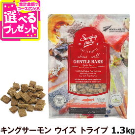 サンデーペッツ ドッグフード ジェントルベイク グレインフリー キングサーモン ウィズトライプ 1.3kg 犬 ドックフード 成犬 アダルト 12ヶ月以降 穀物不使用 魚 ビーフトライプ【D】