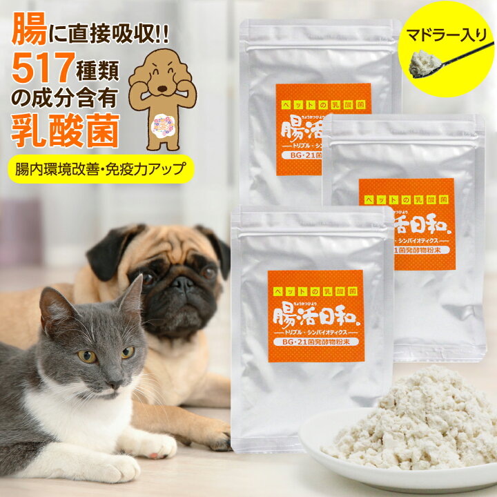 注文割引 腸活日和2g 5個セット ルイボスチャイ 60g(2gx30袋)