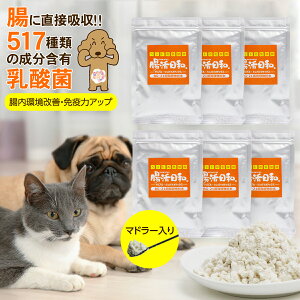 y}\Ԍ!vGg[łP5{z_ ybg Tvg aB30g(ybg Tvg  L Tv rtBYX BG21 L\h )