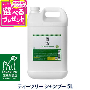 A.P.D.C. eB[c[ Vv[ 5L APDC ybgpi Vv[ p pi ybgp  yDz