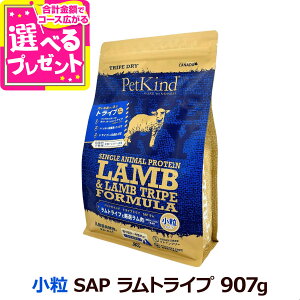 yܖ2025/10/15`փpbP[WŏoׁzybgJCh gCvhC gCv SAP  907g  hbOt[h OCt[ sgp hC q  VjA ps[ 