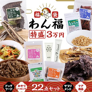 y12/5 vGg[ő100|CgobNz 2025~  񕟁qrhbOt[h   _ۃTv    lߍ킹 v[g Mtg ܂Ƃߔ jyDz