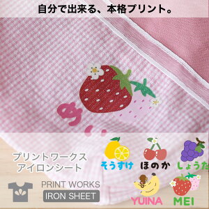 yő800~ItN[|Izvg[NXOACV[gE