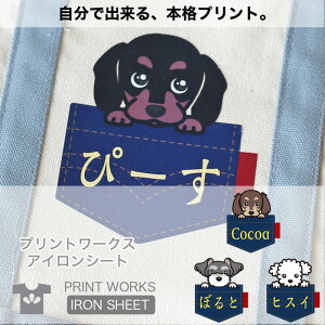 yő800~ItN[|Izvg[NXOACV[gEEB[hbOXEW[Y|Pbg