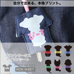 yő800~ItN[|Izvg[NXOACV[gEEB[hbOXEobNVGbg