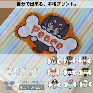 yő800~ItN[|Izvg[NXOACV[gEEB[hbOXE{[