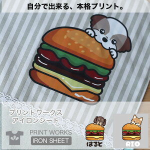 yő800~ItN[|Izvg[NXOACV[gEEB[hbOXEno[K[BԂ