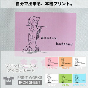 vg[NXOACV[gEɂ܂铰fUCE