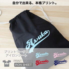 プリントワークスお名前アイロンシート・チアロゴ・カラフル