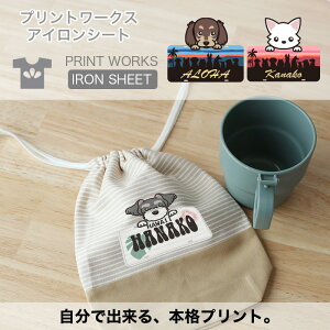 yő800~ItN[|Izvg[NXOACV[gEEB[hbOXEl[v[g