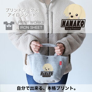 yő800~ItN[|Izvg[NXOACV[gEʂ݃hbOEXg[gS