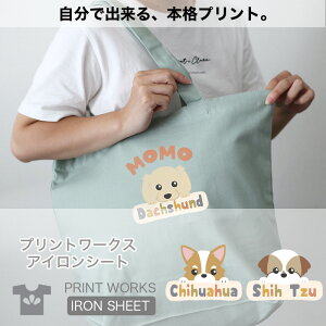 vg[NXOACV[gEEB[hbOXIӂ