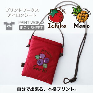 yő800~ItN[|Izvg[NXOACV[gE|bvt[c