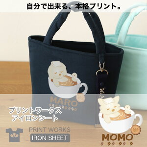 yő800~ItN[|Izvg[NXOACV[gEJtFIhbOÊт