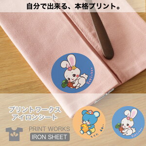 yő800~ItN[|Izvg[NXOACV[gEgƂ