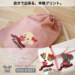 yő800~ItN[|Izvg[NXOACV[gEʂ݃hbOEo^C