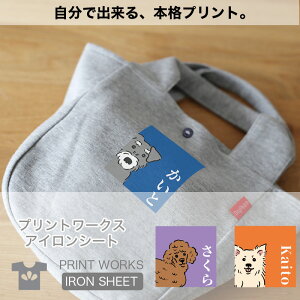 yő800~ItN[|Izvg[NXOACV[gE yukinohbOEBOX