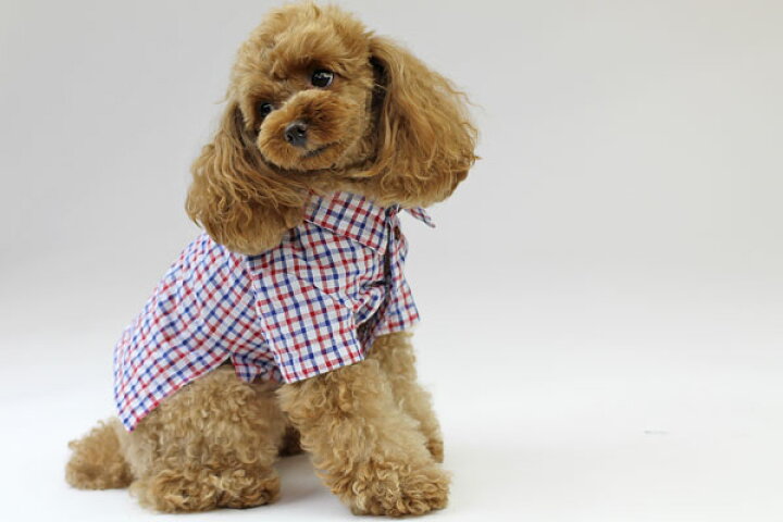 楽天市場 犬服型紙 小型犬用 シンプル半袖シャツ ドッグピース 楽天市場店