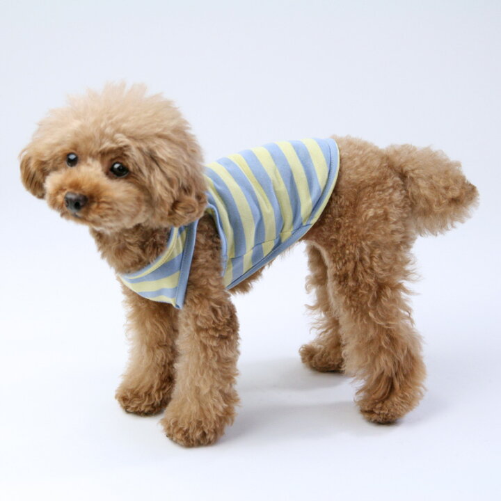 楽天市場】[犬服型紙・小型犬用 犬服立体3Dパターン] シンプルタンク 