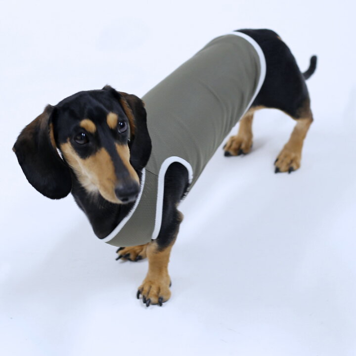 楽天市場】[犬服型紙・小型犬用 犬服立体3Dパターン] シンプルタンク 