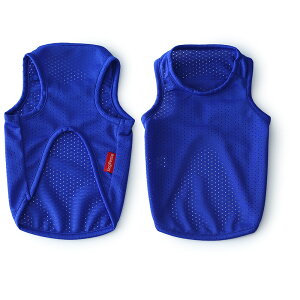 {fBƃSJ[̗IׂhbOs[XEN[XvbV^Ngbv