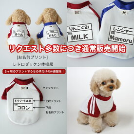 [お名前プリント]レトロ・ゼッケン体操服