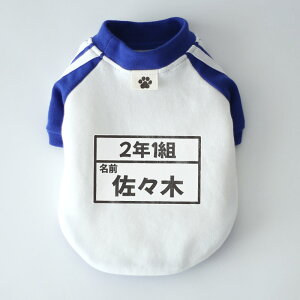 yő800~ItN[|Iz[Ovg]gE[bP̑