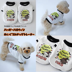 [\EFA]nbs[nEBEʂ݃hbOEg[i[