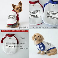 【最大800円オフクーポン！】[お名前プリント]レトロ・ゼッケン体操服