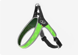 PRATIKO veBR@n[lX@bVobNNbv TCY1`4@^A^p@ybg ybgObY pi  n[lX @