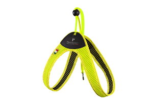 PRATIKOEveBR@GA[bVSGJ[ TCY1`3AWX^u ^pigCv[hA`jybgEybgObY pi  n[lX@@킢@̌^ ȒP@